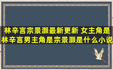 林辛言宗景灏最新更新 *角是林辛言男主角是宗景灏是什么小说